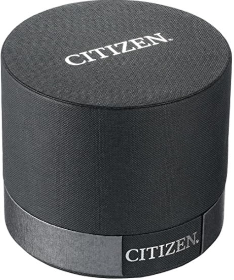 men's citizen watch