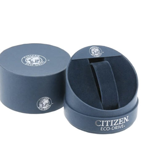 citizen men's eco-drive watch