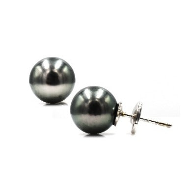 14k tahitian pearl studs